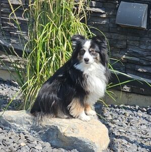 Meet your Posher, JD